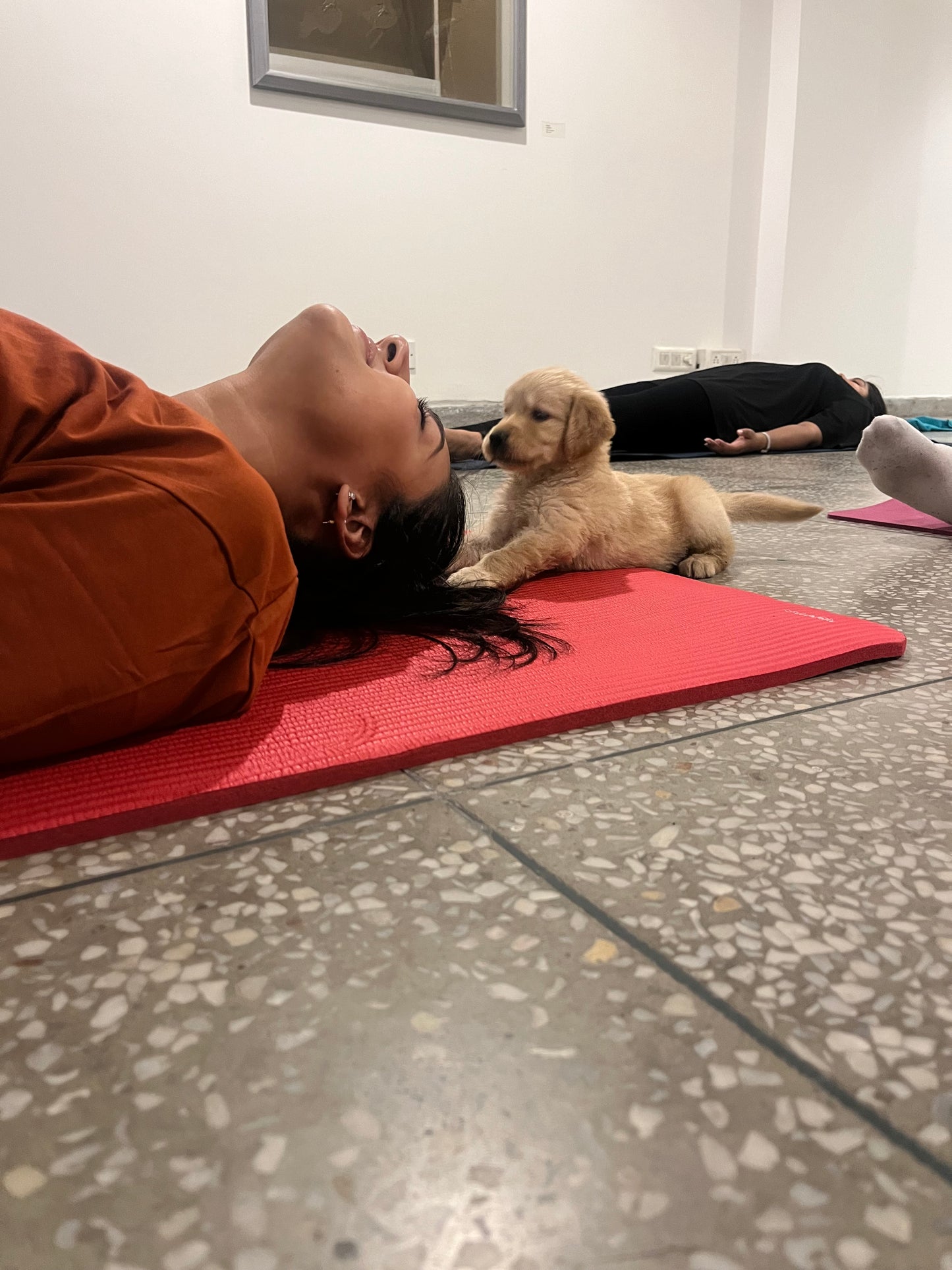 Pups Yoga - Gurgaon