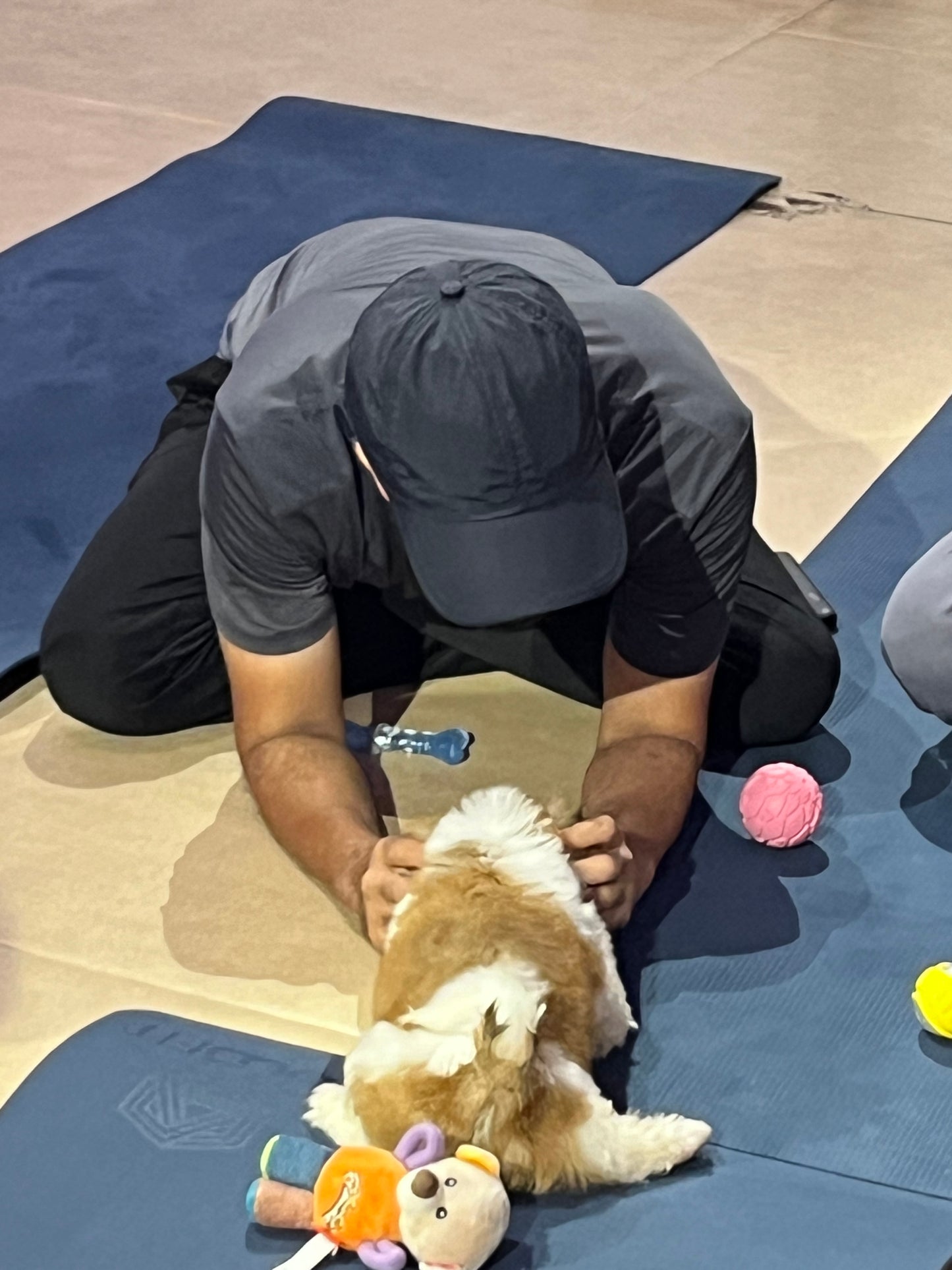 Pups Yoga - Gurgaon