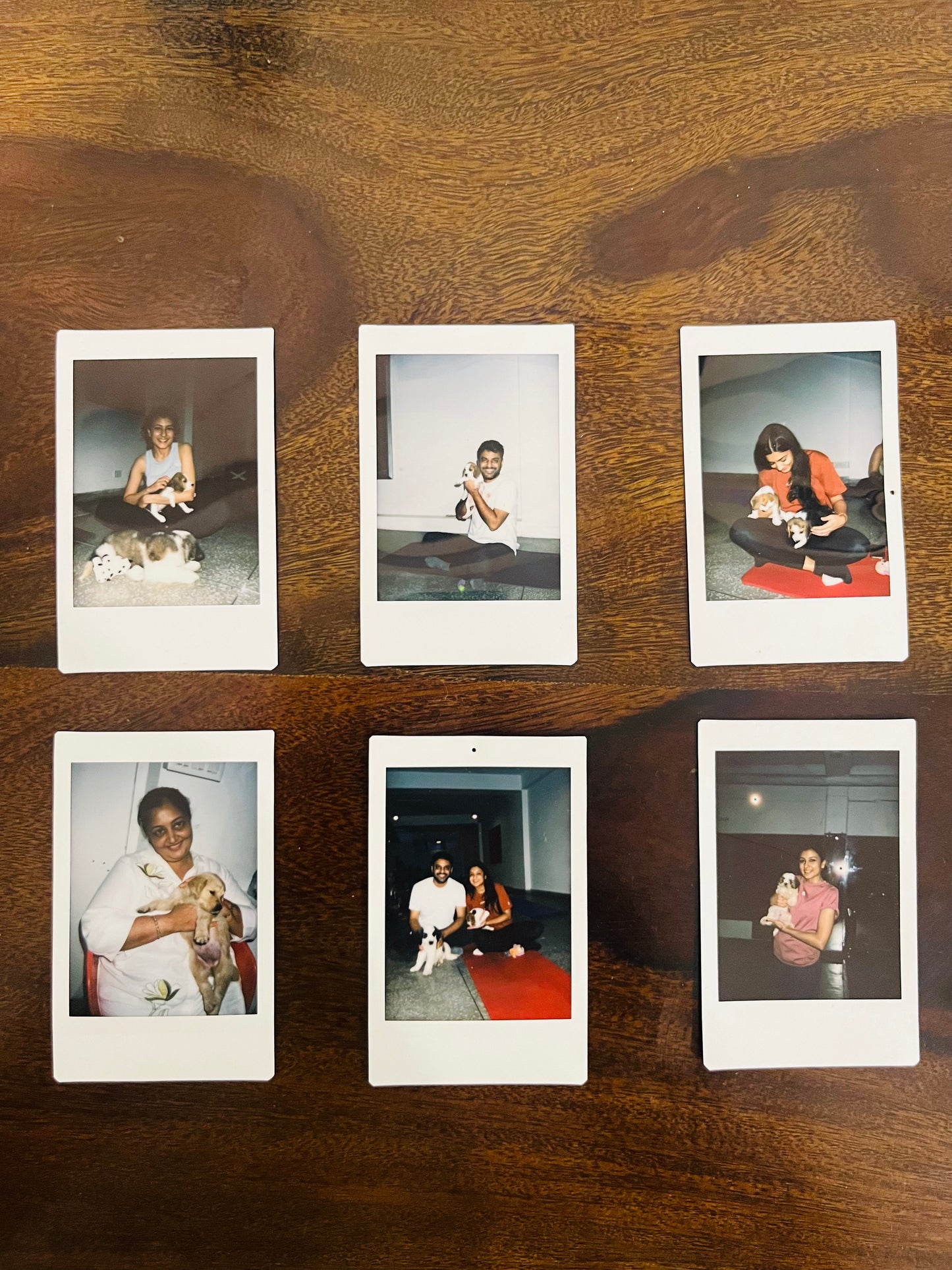 Pups Yoga - Gurgaon