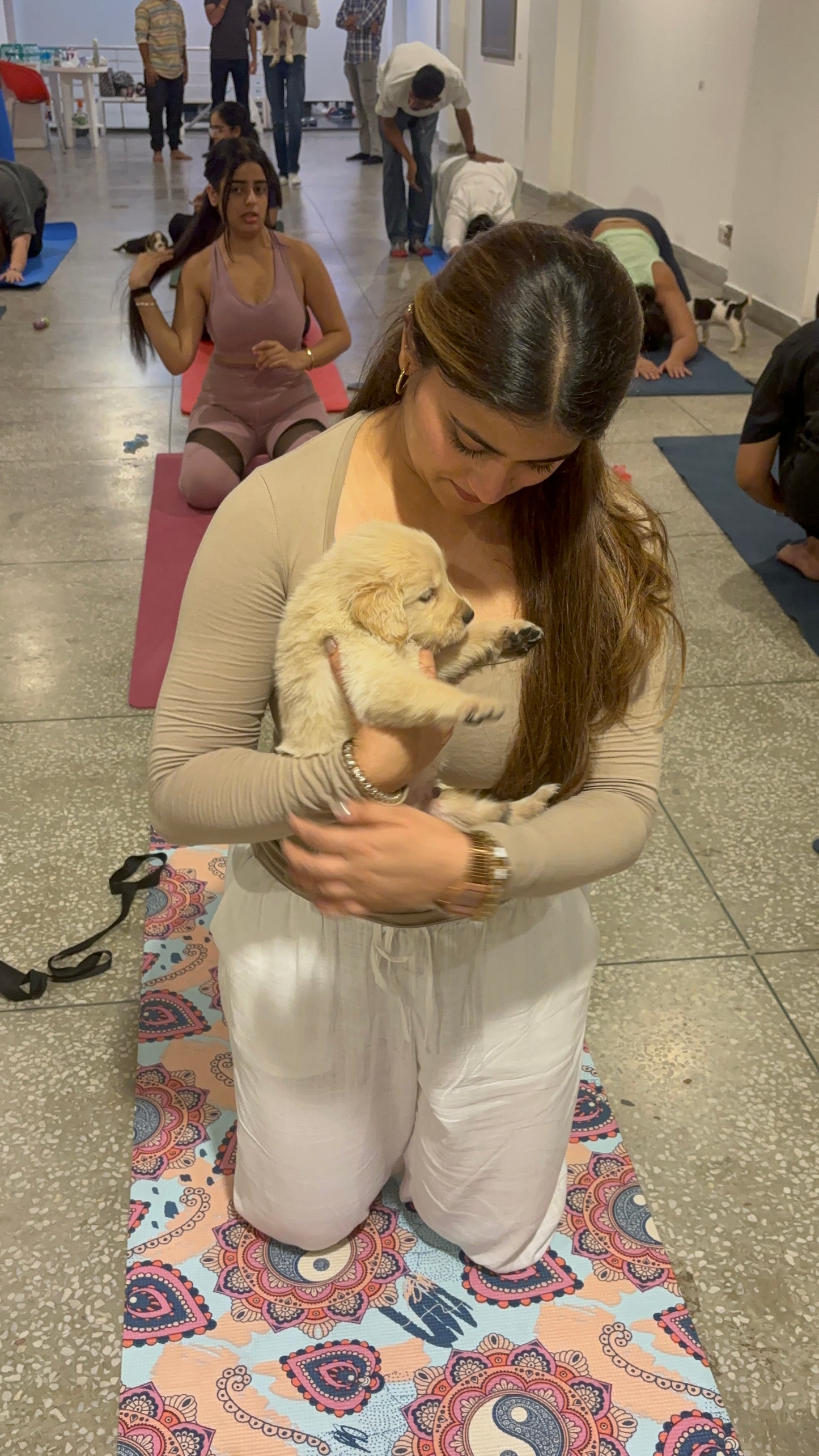 Pups Yoga - Gurgaon